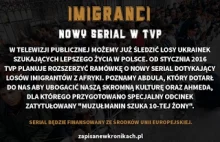 Imigranci - nowy serial TVP