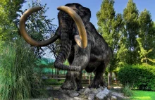 Dlaczego mamuty nigdy nie wrócą