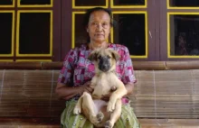 Psia rzeźnia w Indonezji.