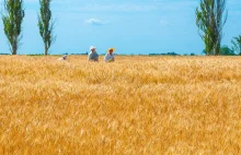 Proukraiński cios w polskie rolnictwo