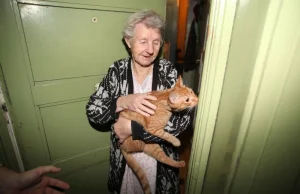Kot Alex pomógł uratować 88-letnią kobietę! [zdjęcia]