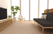 Czy minimalizm jest tylko dla bogatych? Japoński minimalizm...
