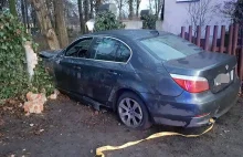 BMW przeleciał przez rondo ścinając brzozę.