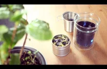 Butterfly Pea Tea - niebieska herbatka - Czajnikowy PL