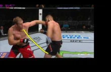 Marcin Tybura nokautuje pięknym kopnięciem w głowę Peste na UFC Fight Night 92