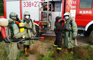 To nie zielone ludziki. Tak strażacy walczą z barszczem Sosnowskiego (FOTO)