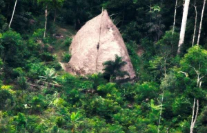W Amazonii dron sfilmował nieznane plemię.