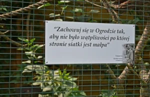 Ta tabliczka w ZOO w Zamościu ma dawać do myślenia