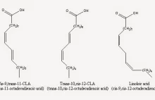 Sprzężony kwas linolowy (CLA) i wysiłek fizyczny