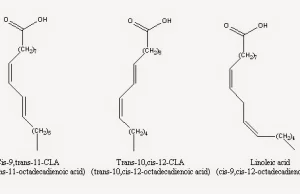 Sprzężony kwas linolowy (CLA) i wysiłek fizyczny