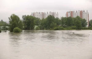 PiS nie boi się wielkiej wody i idzie na rękę inwestorom