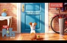 The Secret Life Of Pets - zwiastun animacji twórców "Jak ukraść księżyc"