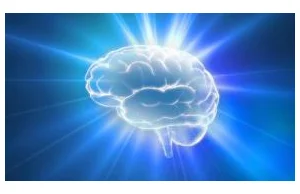 Komputerowy symulator mózgu