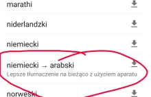 Google tłumacz jest na topie.