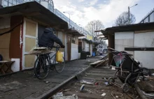 Francja. Raport o likwidacji obozów Romów