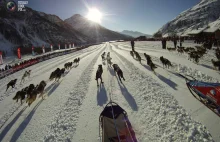 Coroczny wyścig psich zaprzęgów The La Grande Odyssee 2012