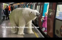 Niedźwiedź polarny na ulicach Londynu