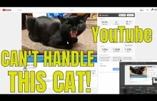 Youtube flaguje nagranie Rossmana z kotem jako "niebezpieczne". [EN]