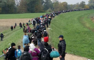 Helsińska Fundacja Praw Człowieka apeluje o przyjęcie uchodźców do Polski