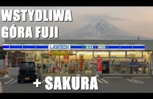 Kwitnące wiśnie i góra Fuji - symbole Japonii