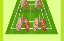 Płuca a kort tenisowy - Ciekawe Zdrowie