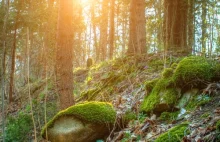 Zwiedzaj z Wykopem: Beskid Żywiecki