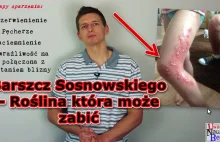 Barszcz Sosnowskiego – Roślina która potrafi zabijać!!!!