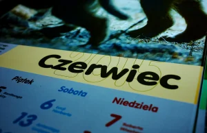 Czerwiec- KALENDARZ Przyrodniczo-myśliwski