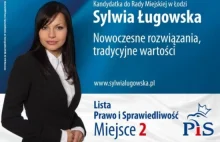 Młode jałówki w stadzie bydła