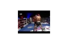 Badr Hari "The Golden Boy" Highlight & Tribute (SW) 2011