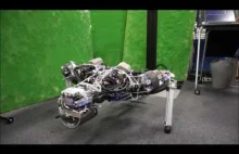 Ten robot robi pompki i aby regulować temperaturę zaczyna się"pocić"