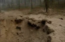 Wybuch 53,5 kg ANFO w Polskim Lesie (wideo)