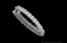 Mikrotubule [molekularne autostrady]; budowa i montaż w komórce.
