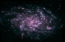 Czy Wszechświat posiada świadomość? Czy każdy z nas to "mały" Wszechświat?