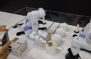 Powstał robot, który potrafi robić pierogi