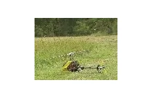 Zdalnie sterowany helikopter kontra chmara os