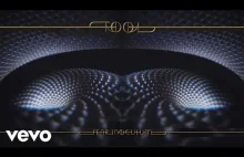 TOOL - Fear Inoculum