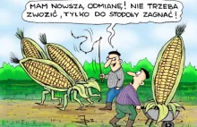 Internetowy zbiór komiksów Angory