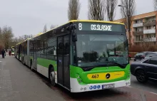 Zielona Góra: Ruszyły darmowe przejazdy autobusami. Skorzysta młodzież do 20 lat