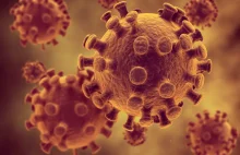 Wirus HIV znalazł sposób na oparcie się najnowszej metodzie zwalczania go