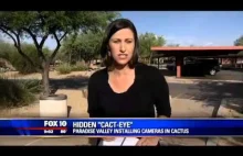 Kamery ukryte w kaktusach