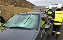 Wypadek na A1. Lód przeciął szybę