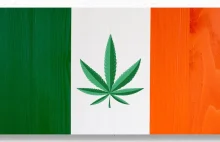 Irlandia zalegalizuje marihuanę w ciągu najbliższych czterech lat -...
