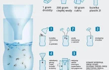 Sprawdzony sposób na komary - pułapka