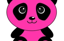 Różowa Panda