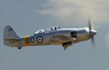 Hawker Sea Fury T.20 w locie