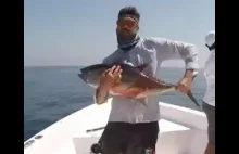Tuńczyk Shake
