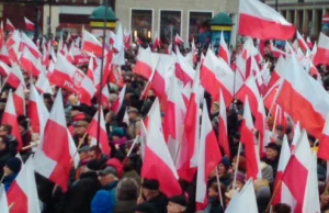 Polonia walczy o dobre imię Polski - manifestacje w niedzielę w Europie i USA