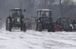 Start na wstecznym, slalom i ogień, czyli emocje na wyścigach traktorów (WIDEO)