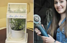 Zrób to sam: Domowa mini szklarnia na zioła i przyprawy